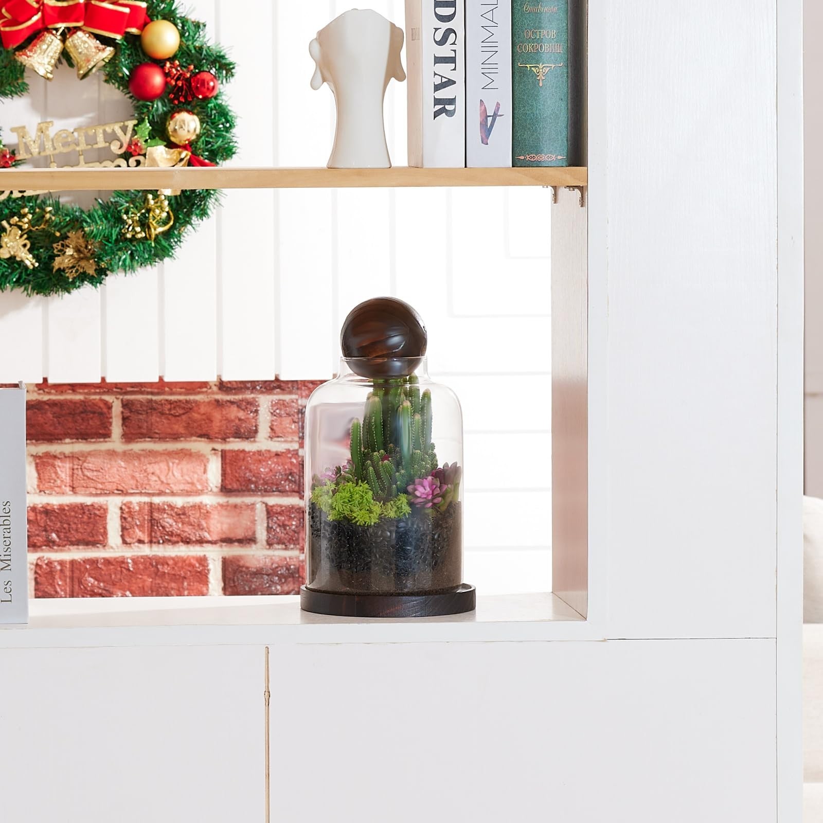 Large Glass Terrarium for Succulents & Moss – Decorative Plant Display with Wood