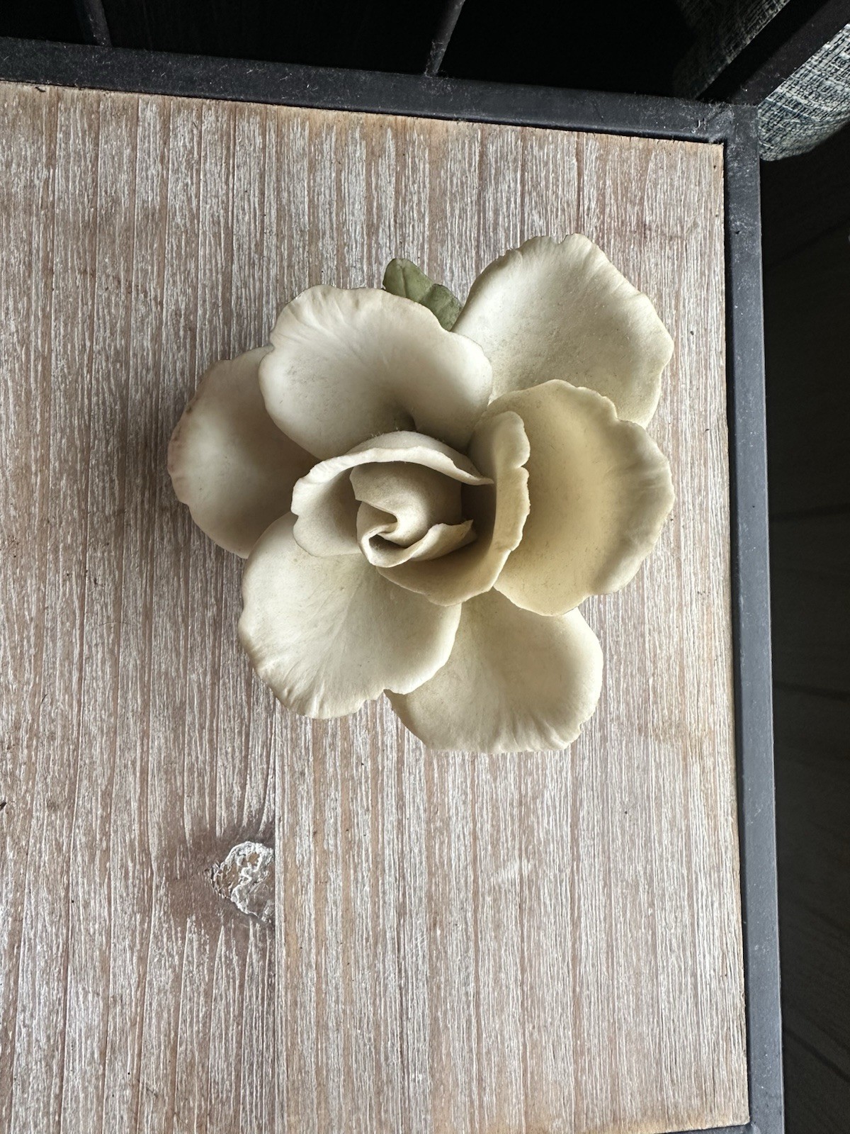 Napoleon White Ceramic Magnolia Flower Table Decor Figurine, White/Green