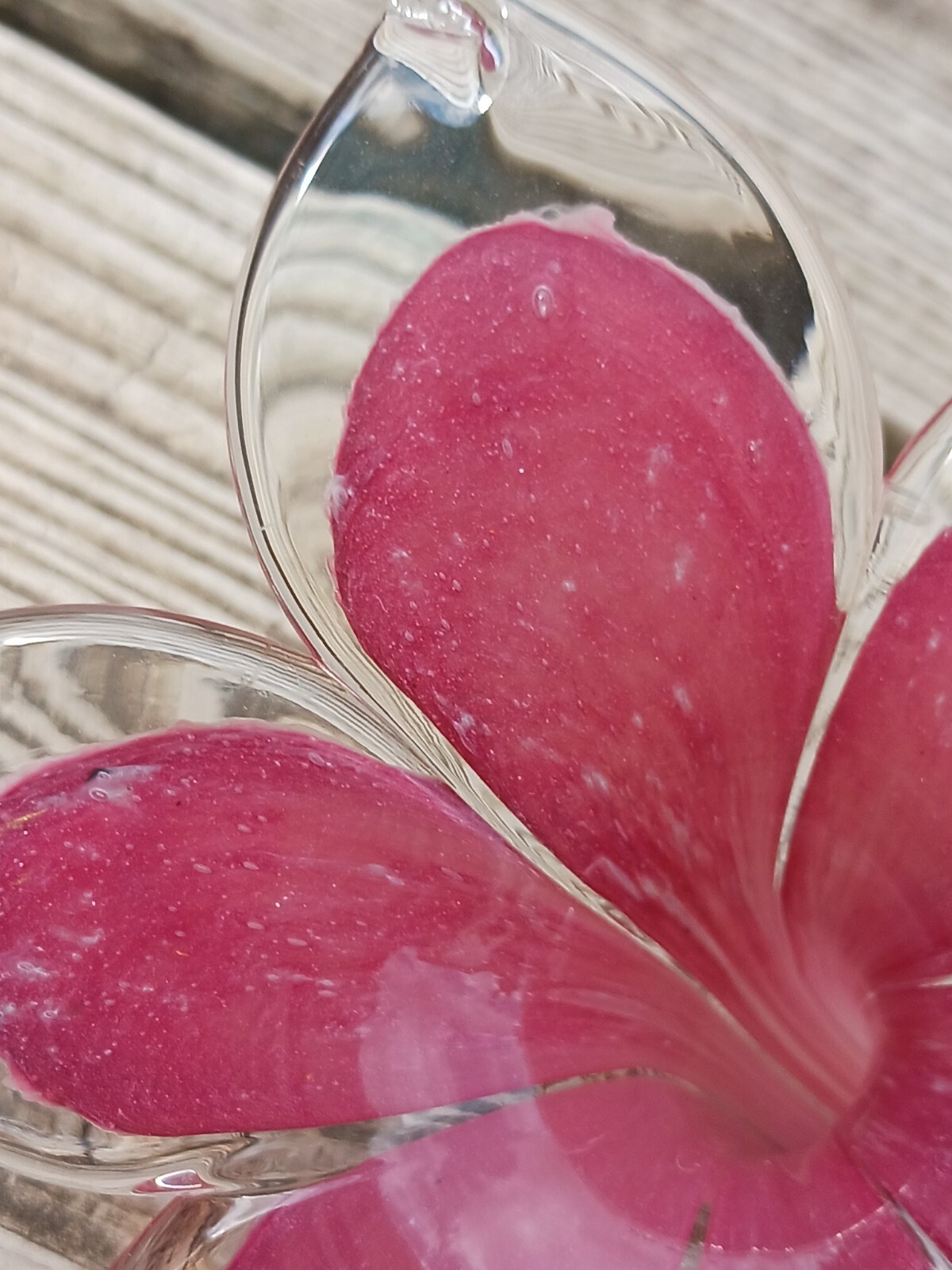 Large 17″ Blown Glass Pink Flower One Petal Chipped