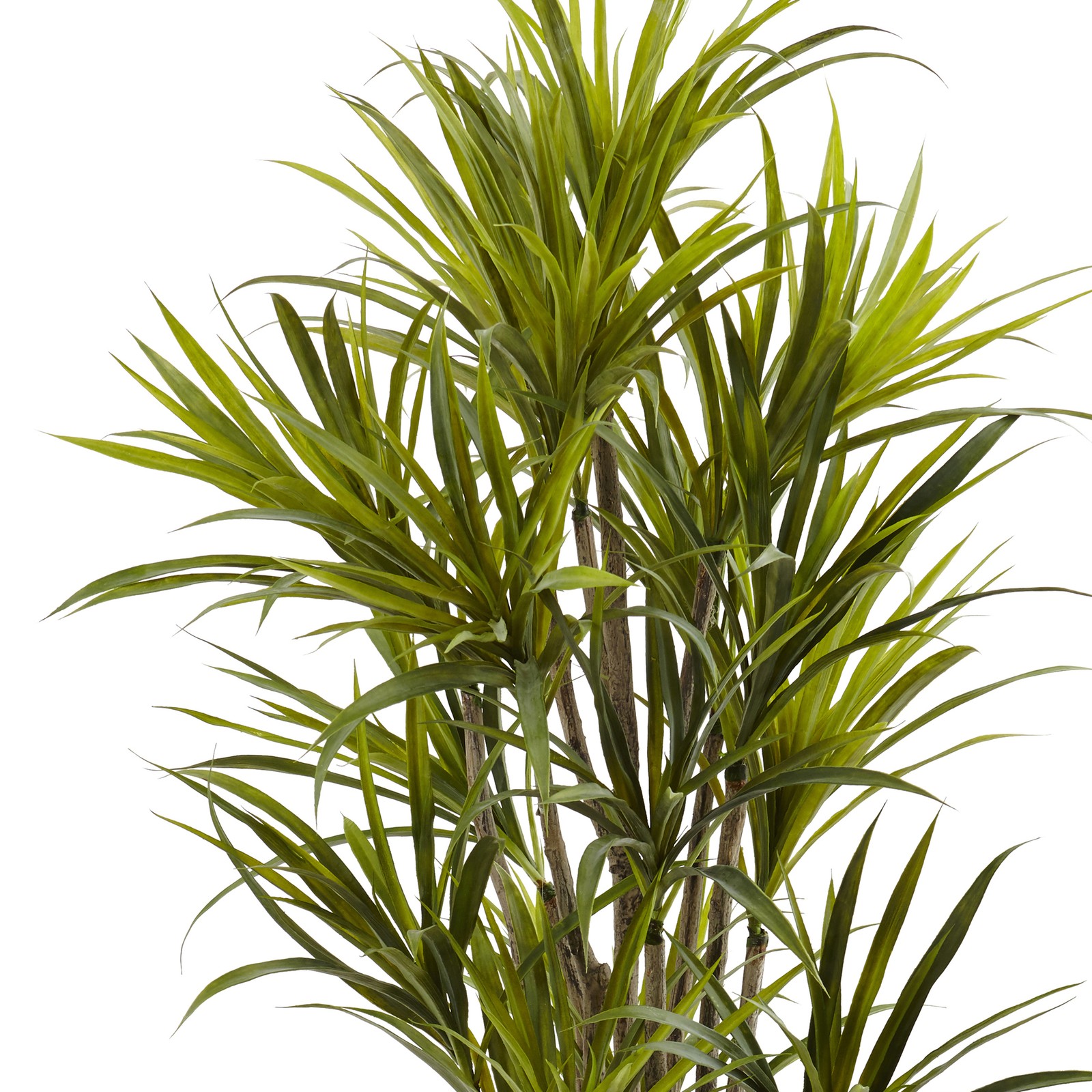 Nearly Natural 5ft Dracaena Silk Tree in Green