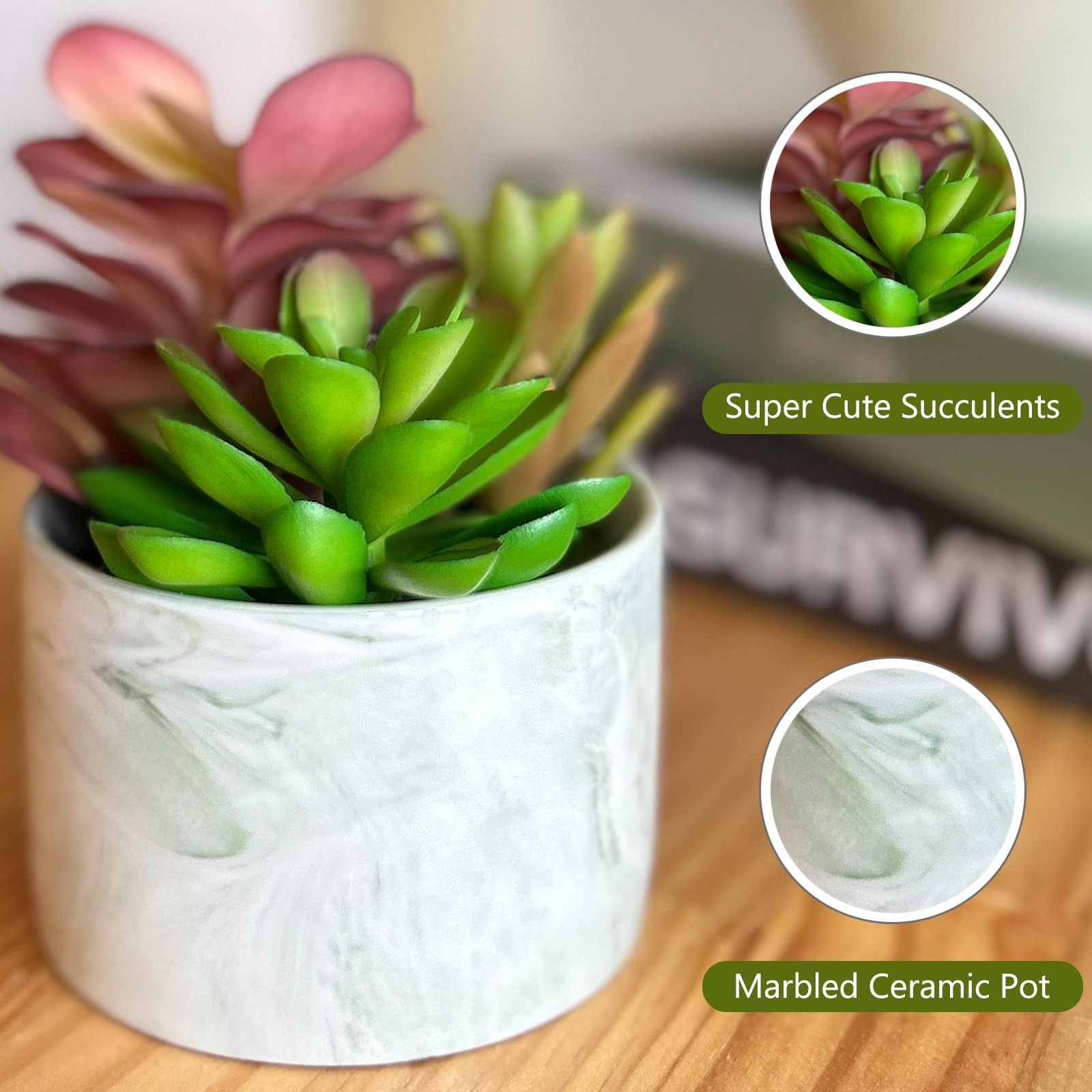 Artificial Plants Cute Colourful Succulents in Ceramic Planter Fake Plant Flower