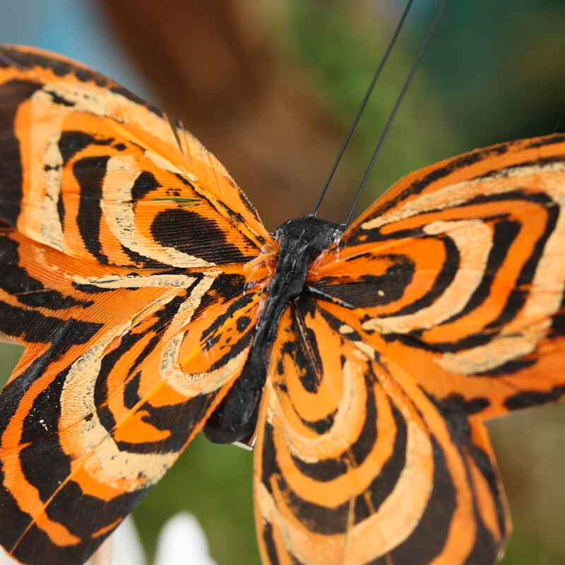 Package of 12 Black and Orange 4″ Natural Feather Artificial Butterflies