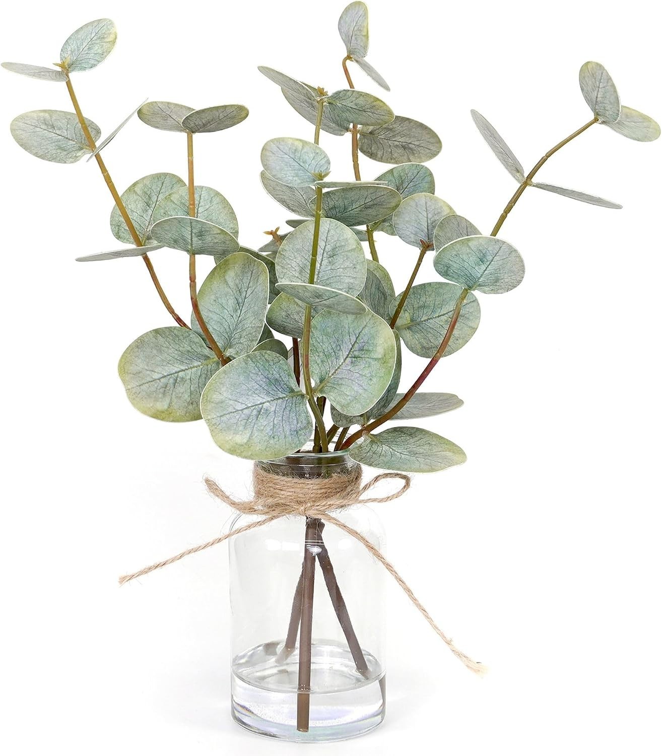 Realistic Faux Eucalyptus Plant in Glass Vase with Faux Water – Ideal Gift