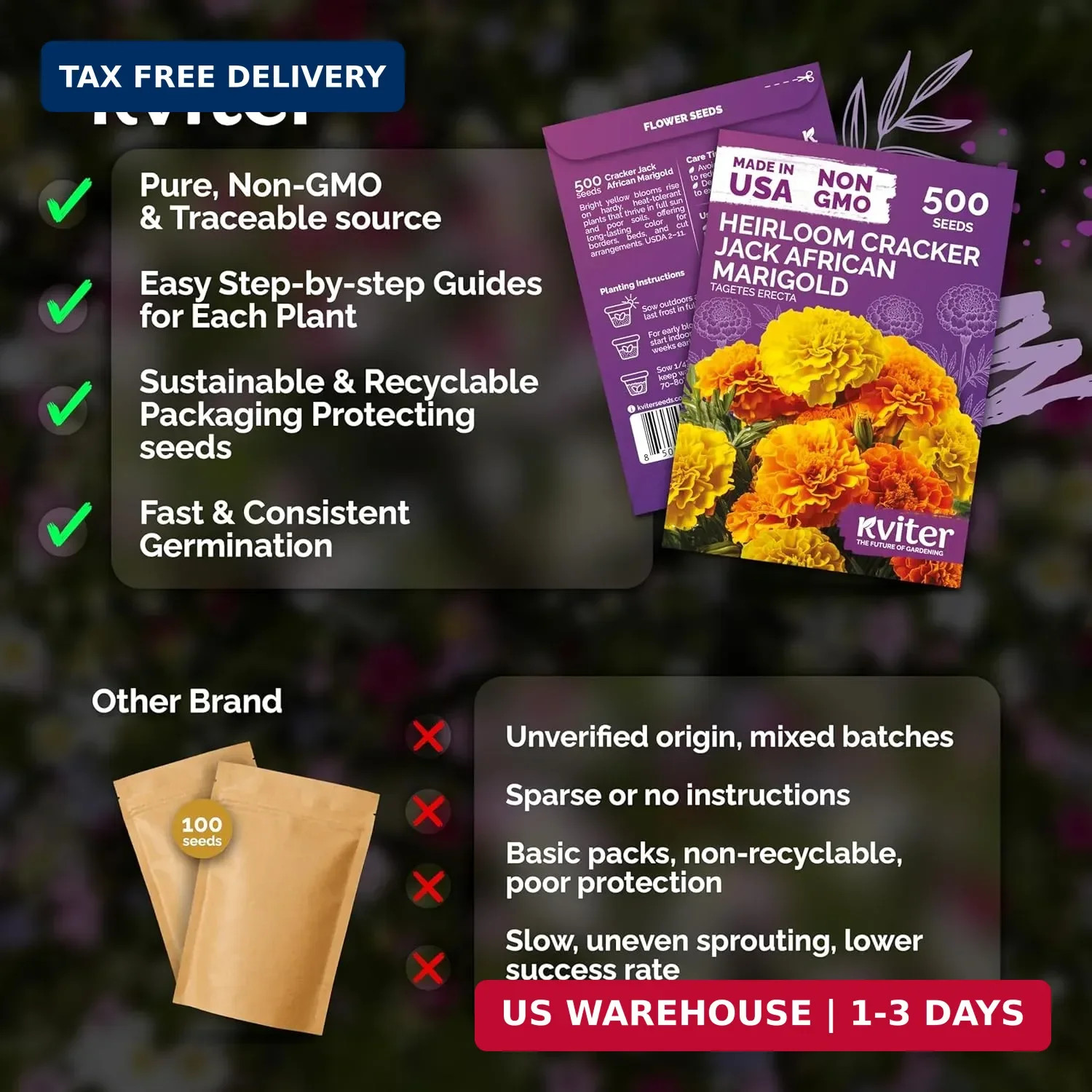 KVITER 500 Cracker Jack Marigold Seeds (Tagetes Erecta) – African Marigold, Gian
