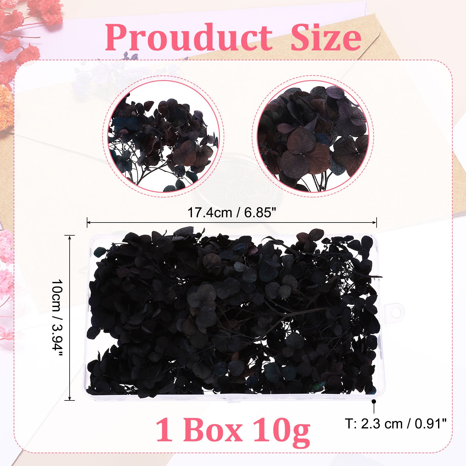 10g Mini Dried Hydrangea Flower Natural Pressed Flower Gradient Mist Blue Purple