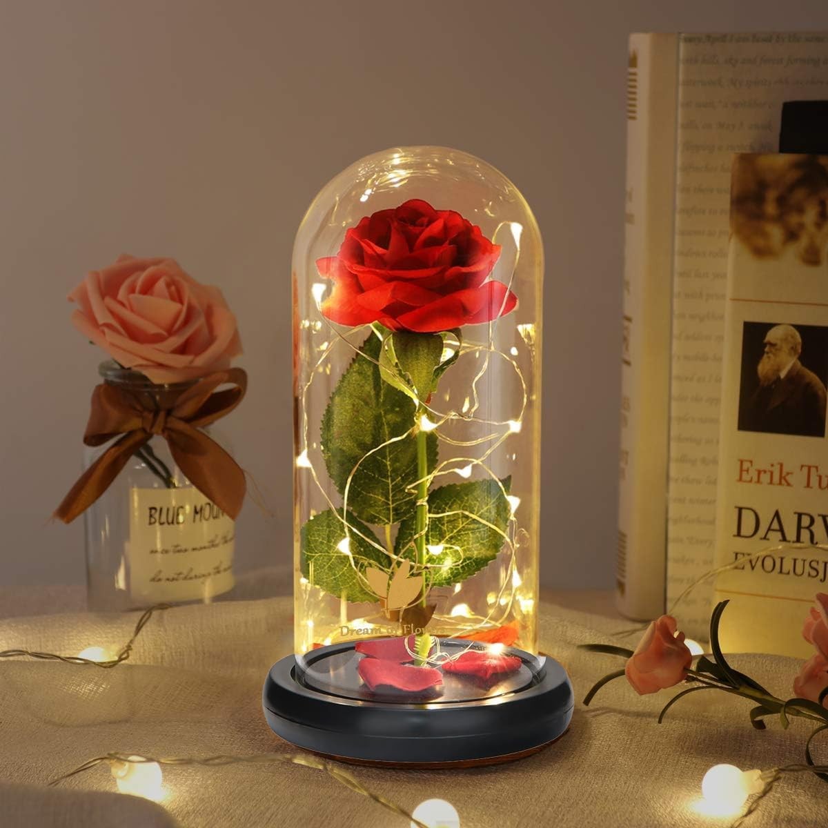 Beauty and The Beast Rose in Glass Dome, Preserved Rose Enchanted Red Silk Rose