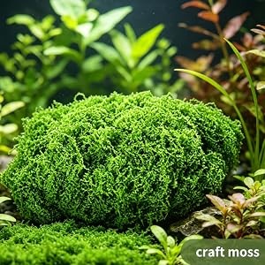 Fake Moss for Plants Indoor, 7OZ Dual-Color Artificial Moss for Crafts,