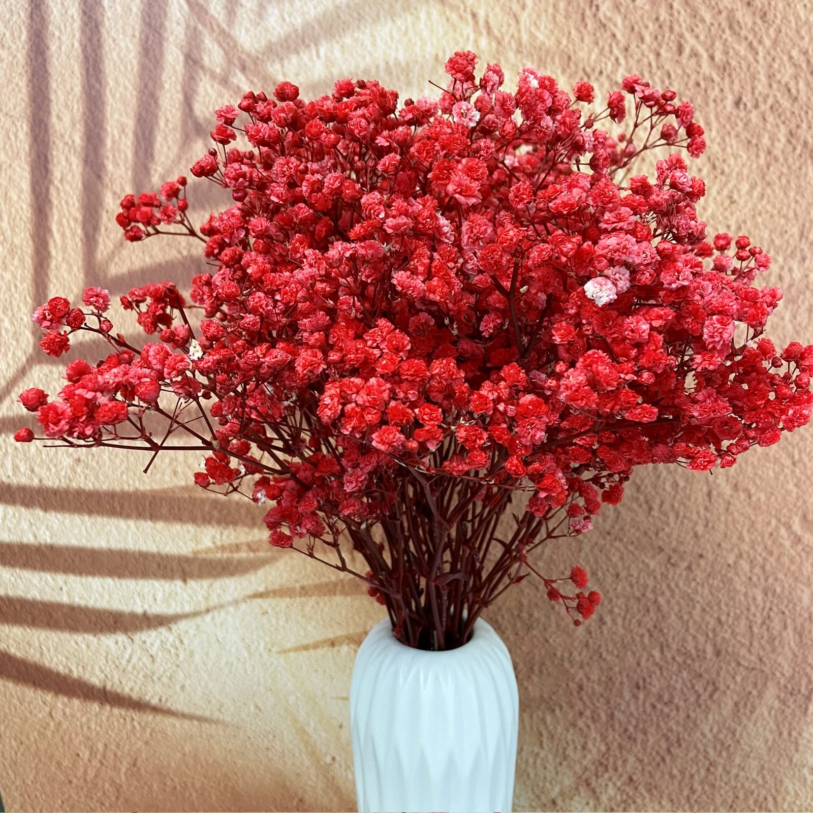 3 PCS Red Preserved Babys Breath Natural Gypsophila Long Lasting Flowers