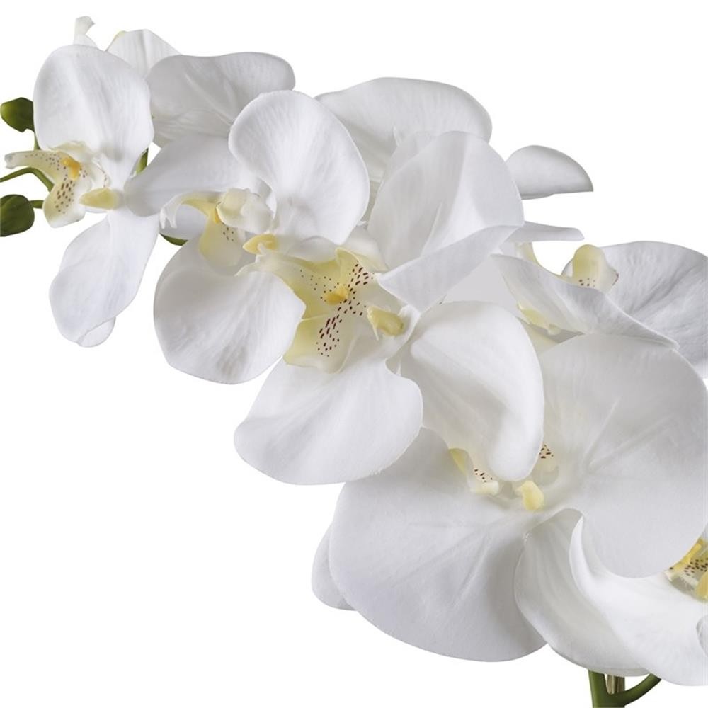 Bowery Hill Coastal Polyester Ceramic and Bamboo Orchid in White
