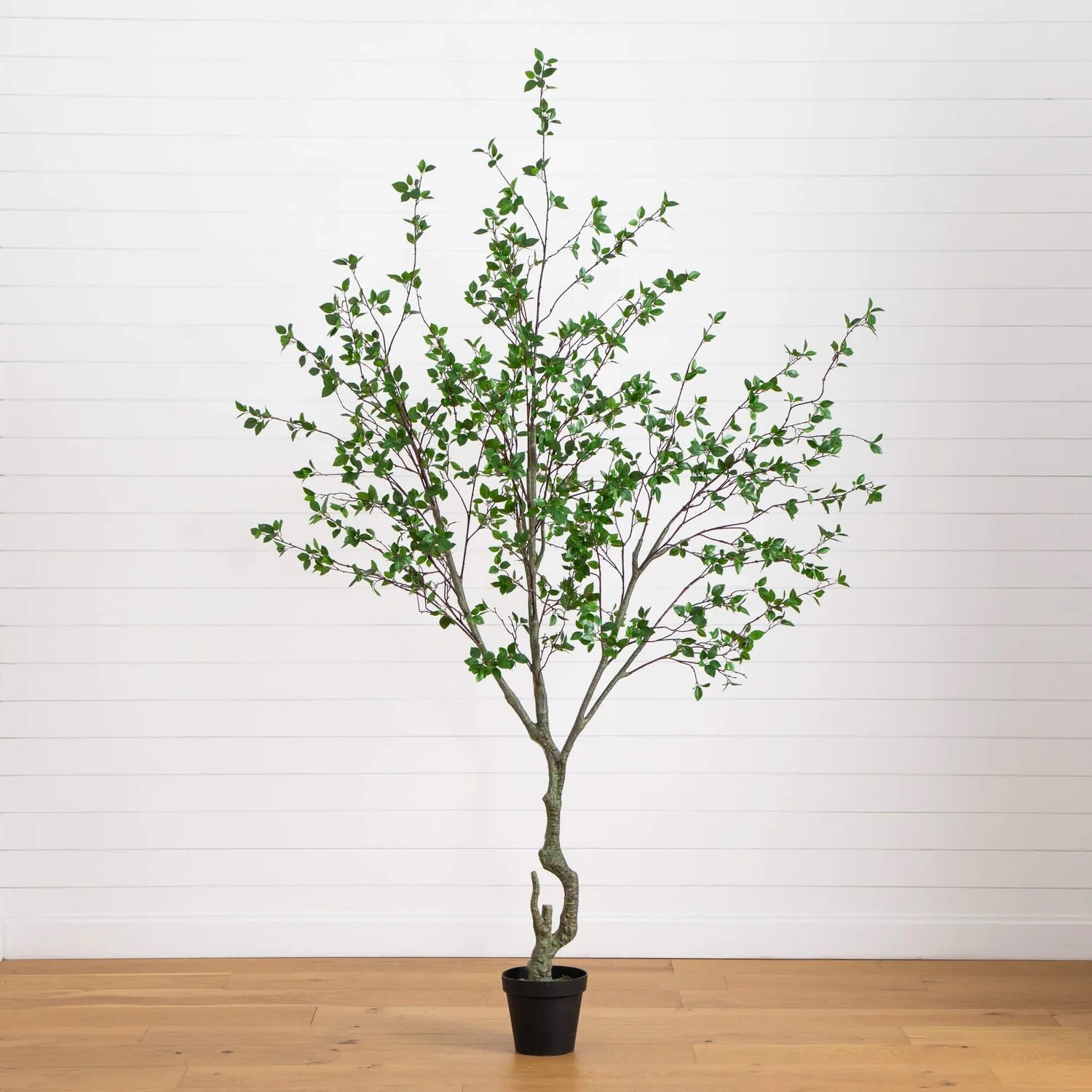 10’ Artificial Citrus Minimalist Tree Home Decor. Retail $549