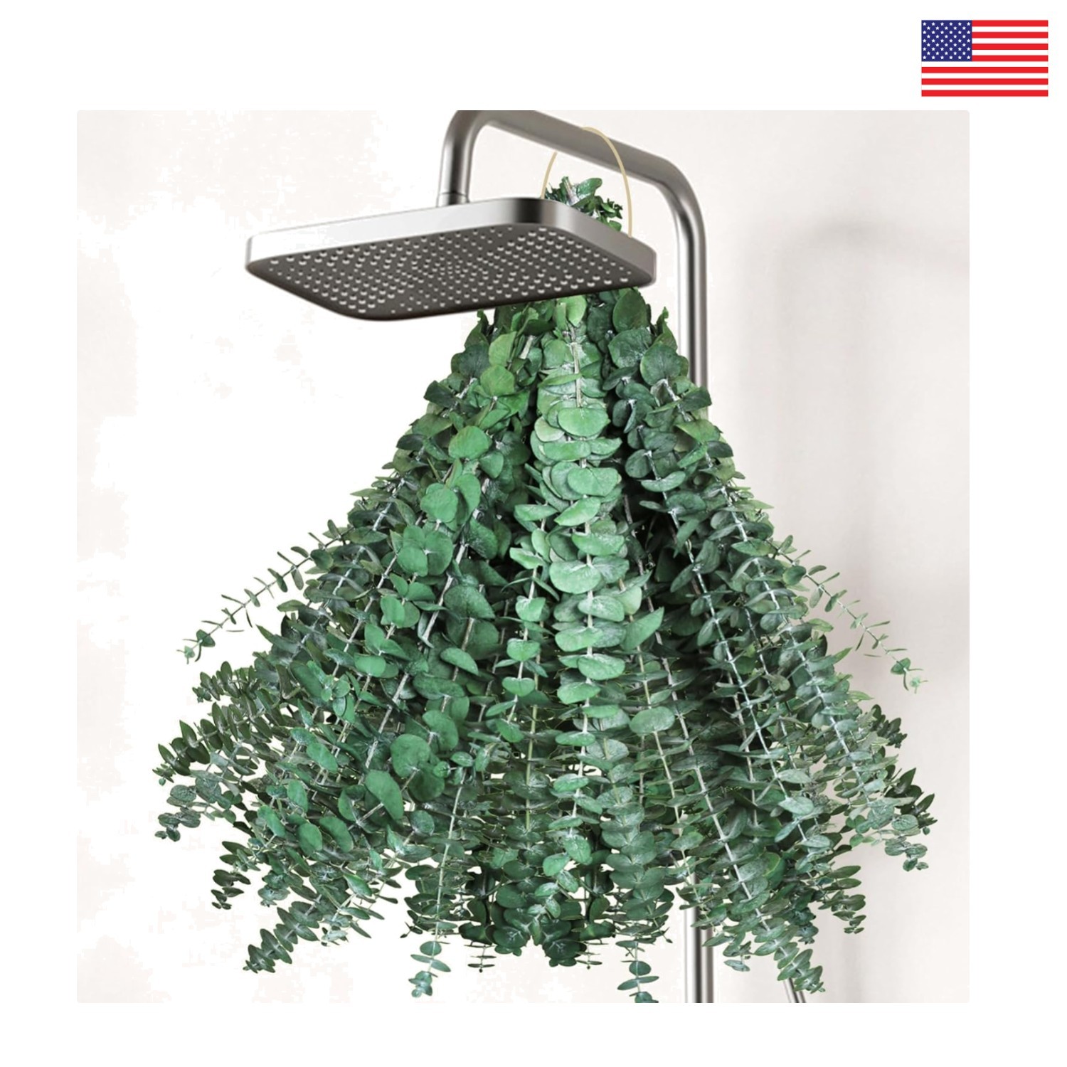 30Pcs Dried Eucalyptus Stems, 17″ Real Preserved Eucalyptus Plant for Shower, Fr