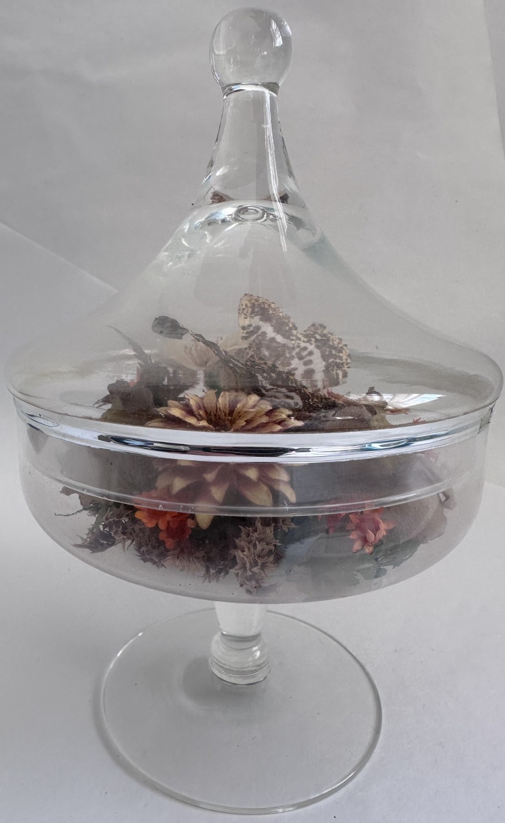 Vintage Glass Cloche Terrarium Butterfly Dried Flowers Pedestal Dome Display