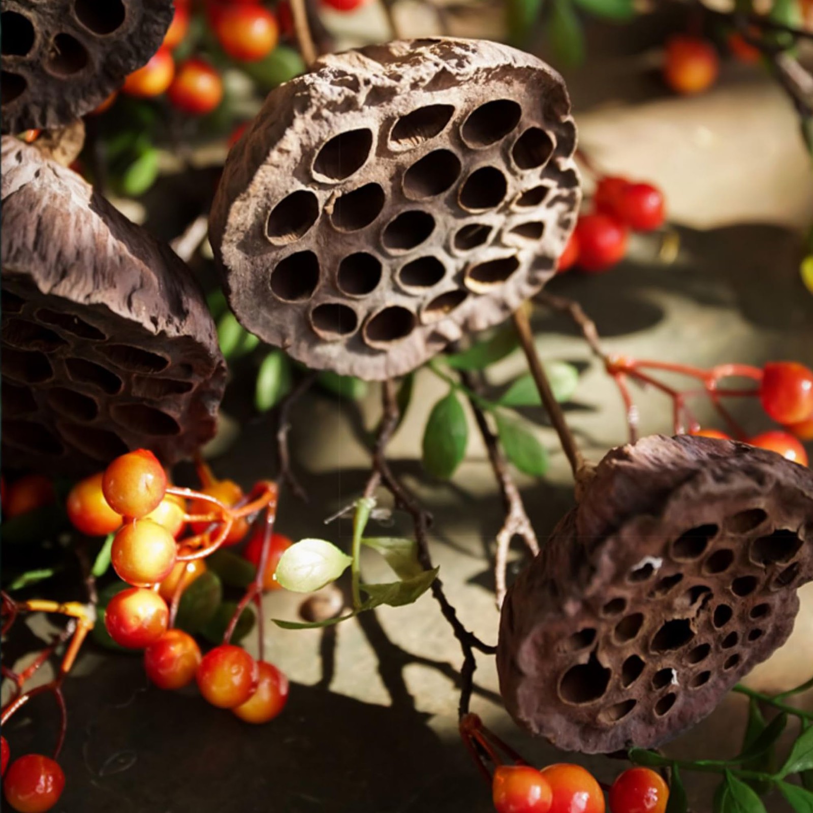 Dried Lotus Pods 5Pcs 20″ Natural Brown Stems for Vase Home Decor Wedding