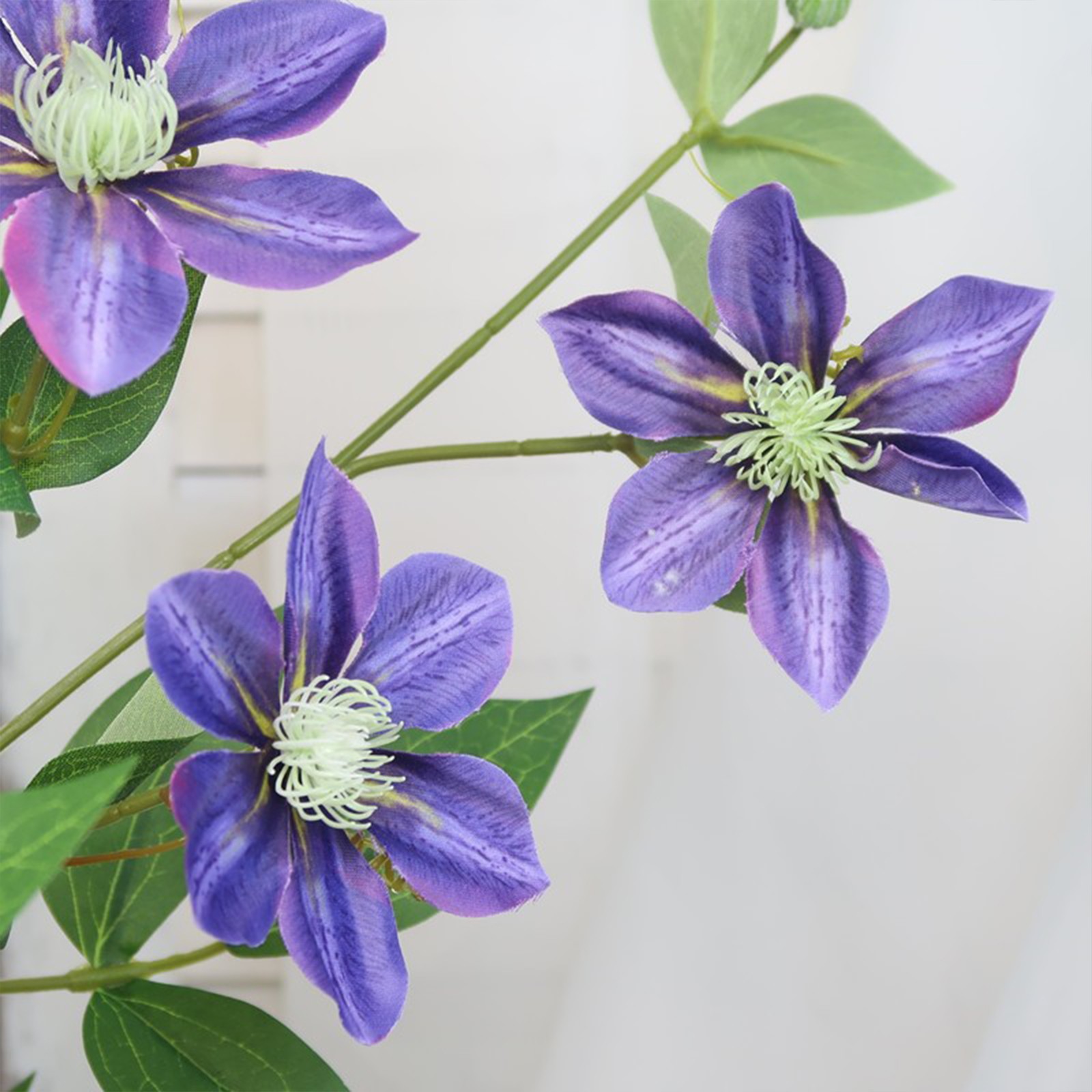New European-style 5-headed Clematis – Deep Purple 85cm Tall Per Stem HOT