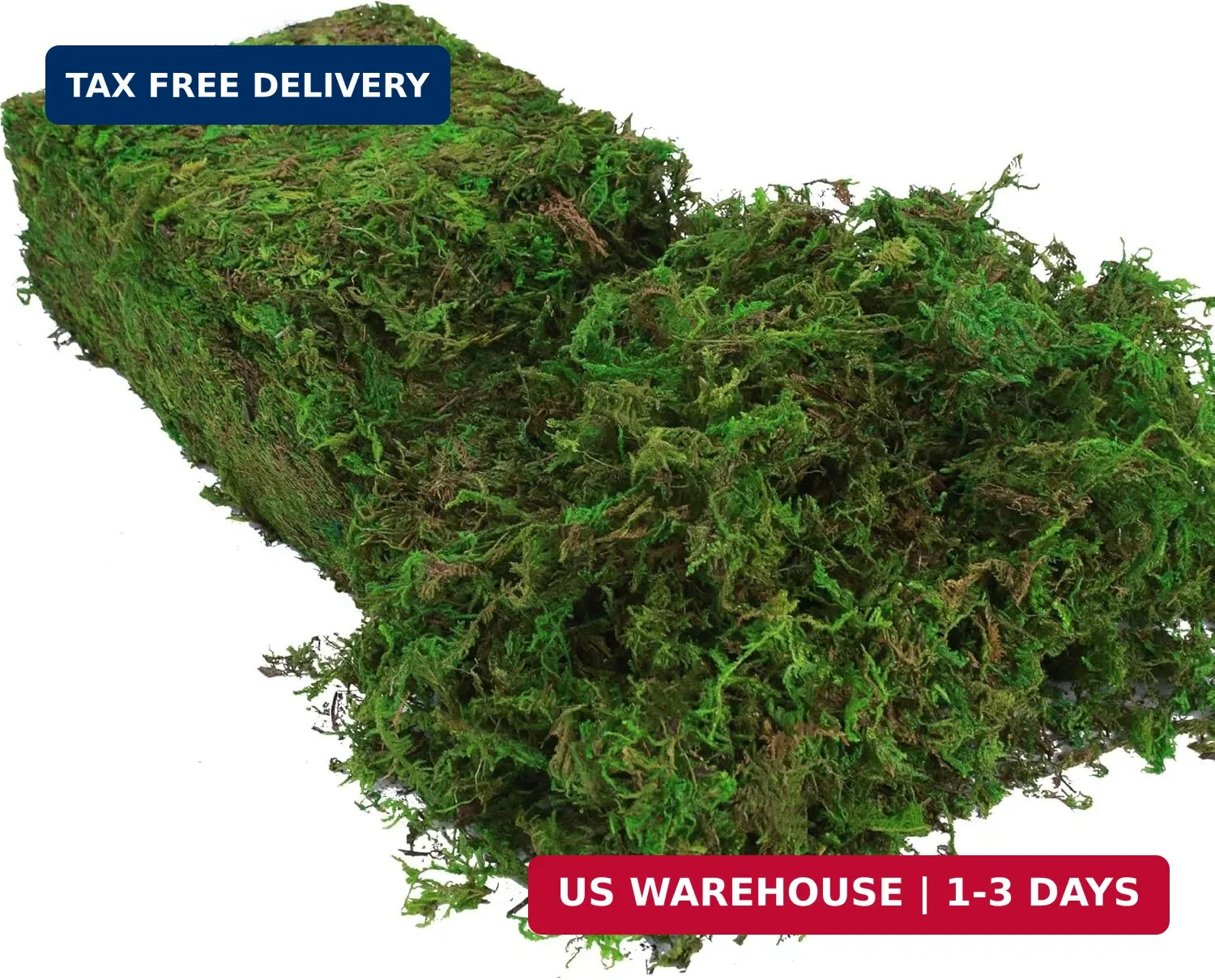BYHER Fake Moss for Plants Indoor, 16OZ Green Moss for Crafts, Artificial Moss f