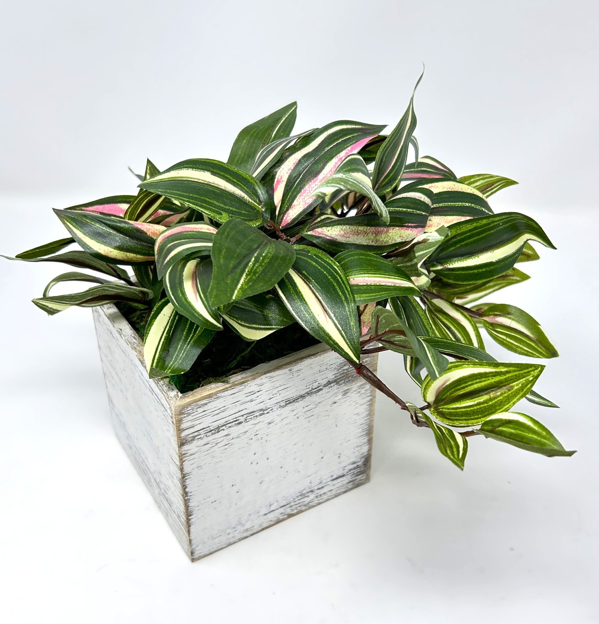 8″ Potted faux silk Green-Pink-White Jew TRADESCANTIA Vine INCH plant in White w