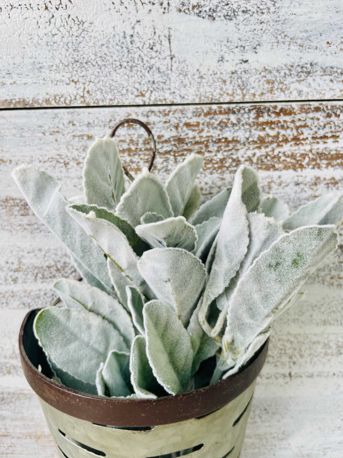 Frosted Lamb’s Ear Pick, 15” Bundle Of 3 Floral Arrangements Greenery New