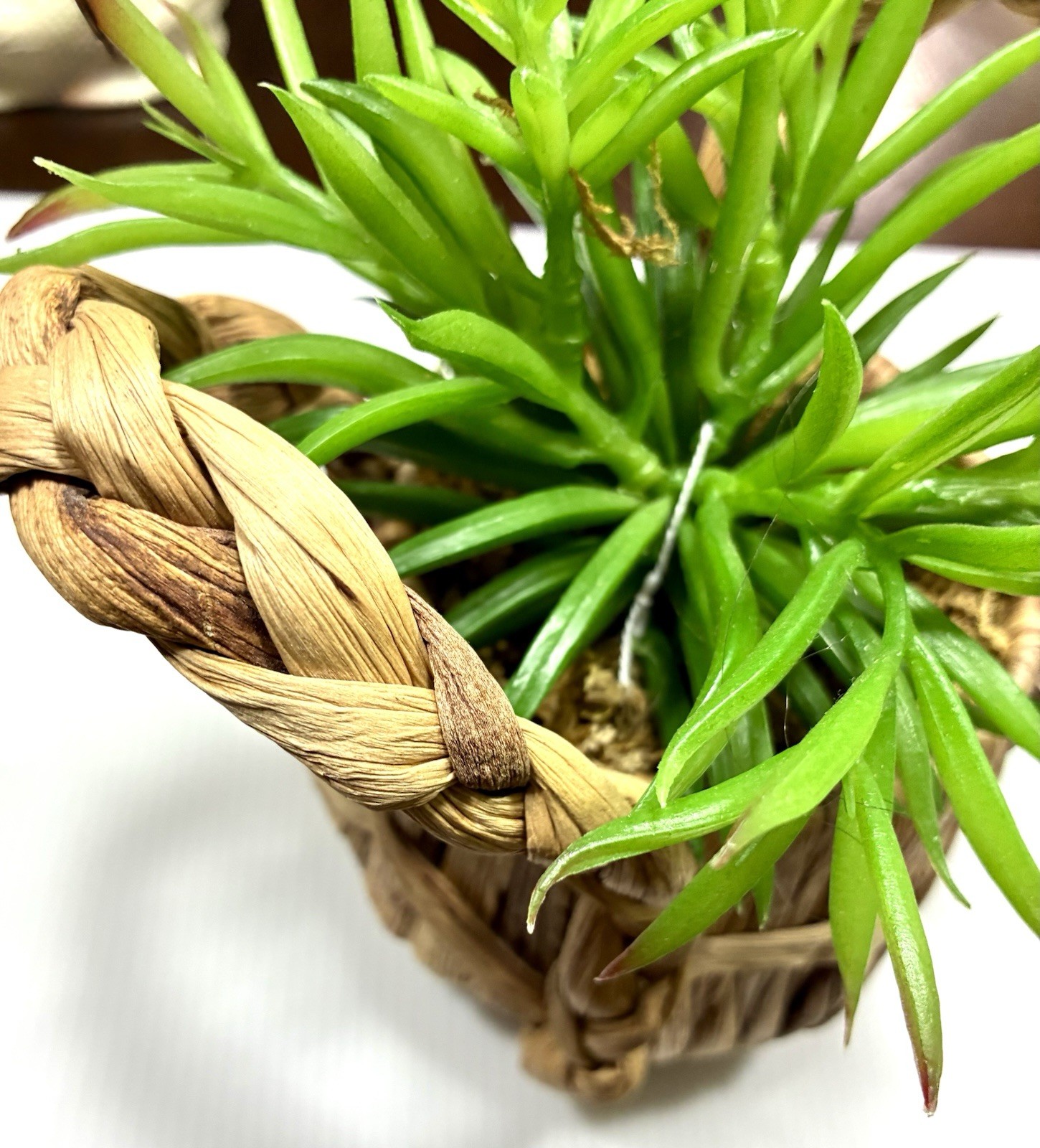 Artificial Faux Succulent Potted Plant In Basket Home Office Shelf Decor