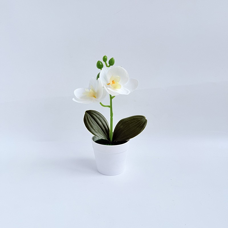 Miniature Phalaenopsis Decor Realistic Butterfly Blooms Handcrafted Detail