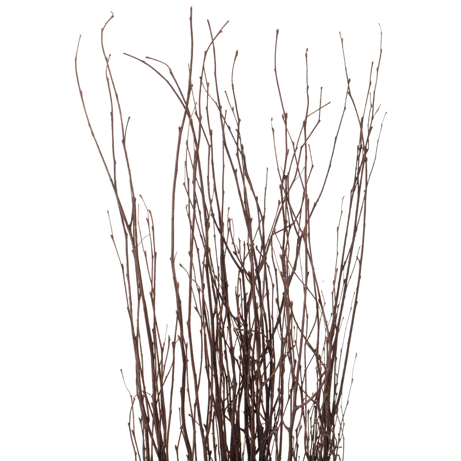 Decorative Dry Branches Authentic Willow Sticks for Home Decoration, 12 Pieces