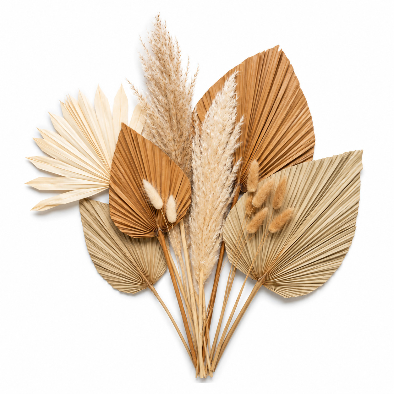 20Pcs Dried Palm Leaves Pampas Grass Mix 19-20in Boho Wedding Home Decor