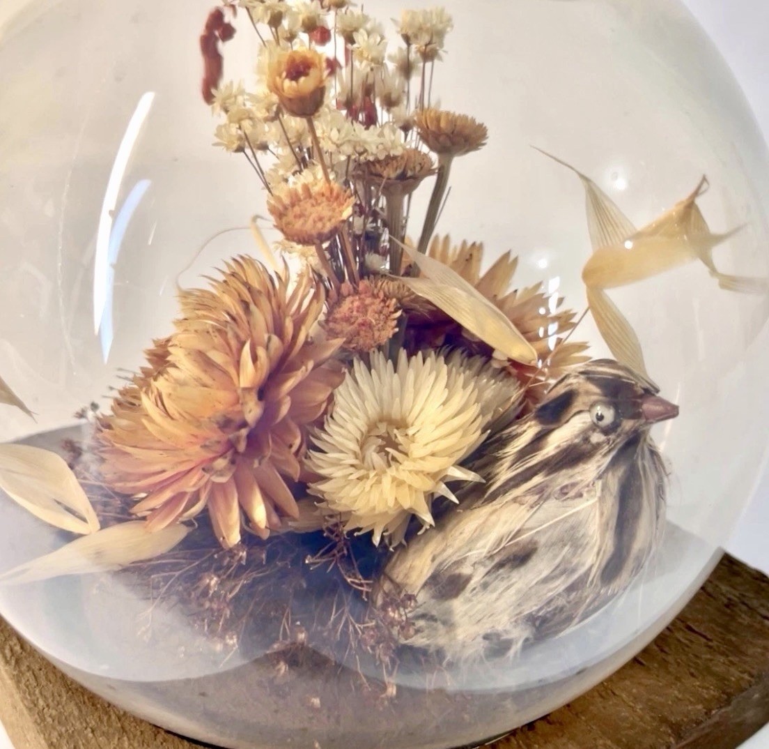 Vintage 60s Dried Flower Glass Terrarium Bird Floral Strawflower Daisy Bouquet