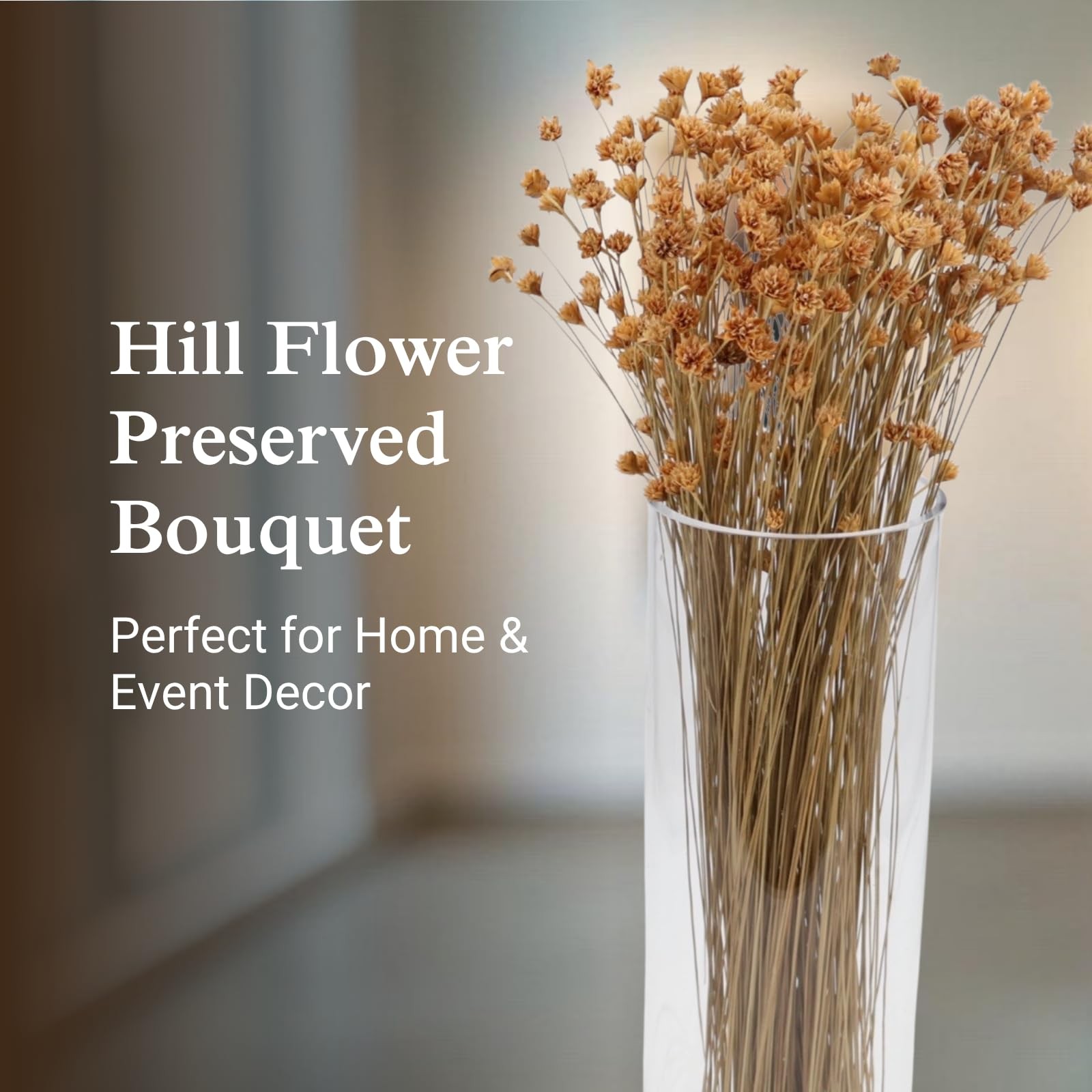 Hill Flowers (Natural) – Preserved Dried Flowers for Floral Arrangements, Wed…