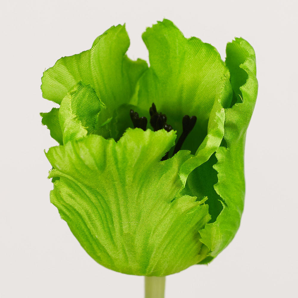 Package of 6 Realistic Spring Faux Green Parrot Tulip Stems