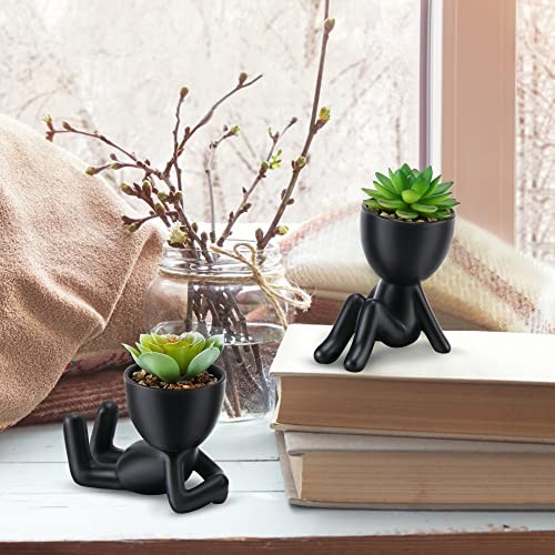Fake Succulent, Mini Succulents Plants Black Ceramic Pot a Green Succulent