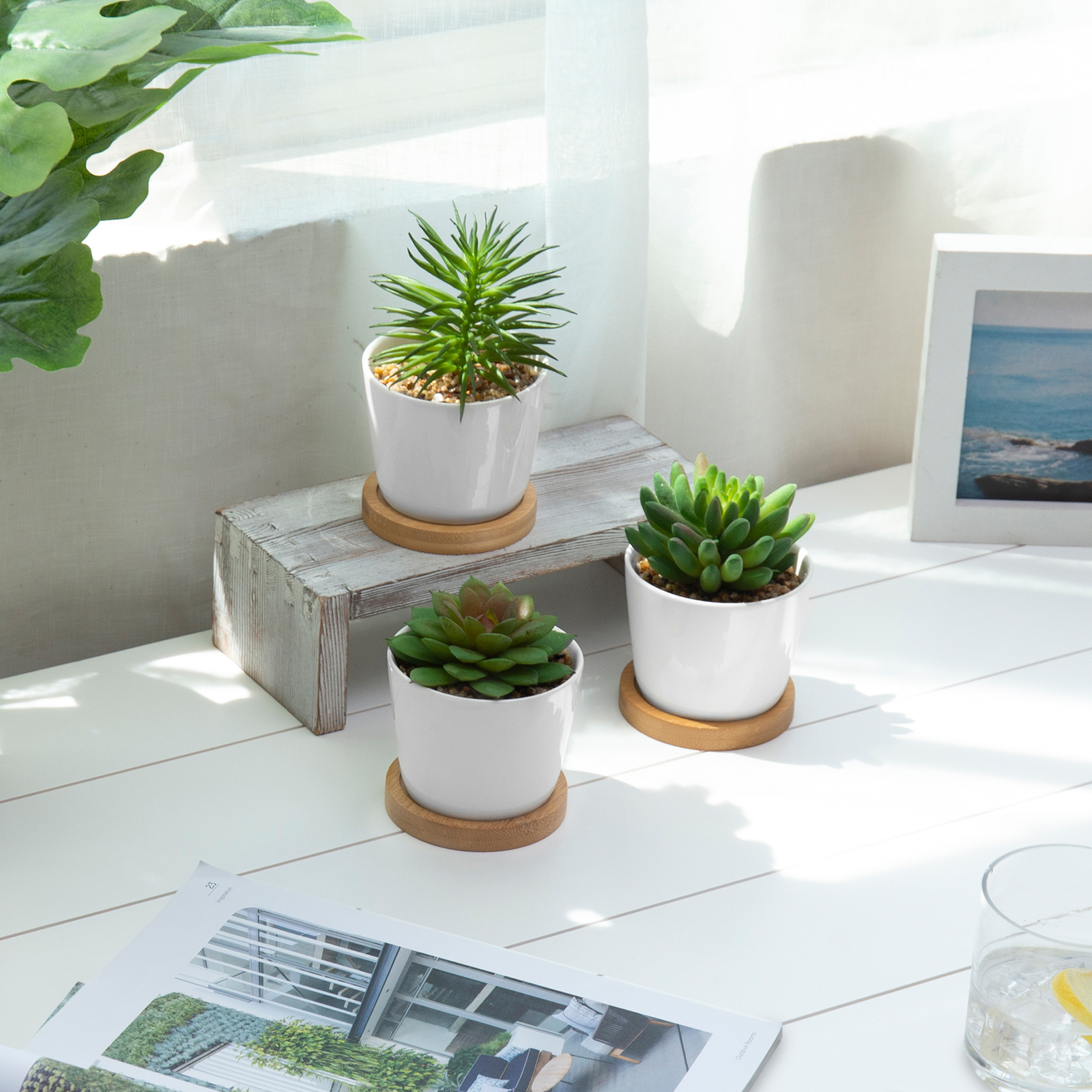 Decorative Faux Succulent Plants in White Ceramic Pots w/Bamboo Saucer, 3 Pots