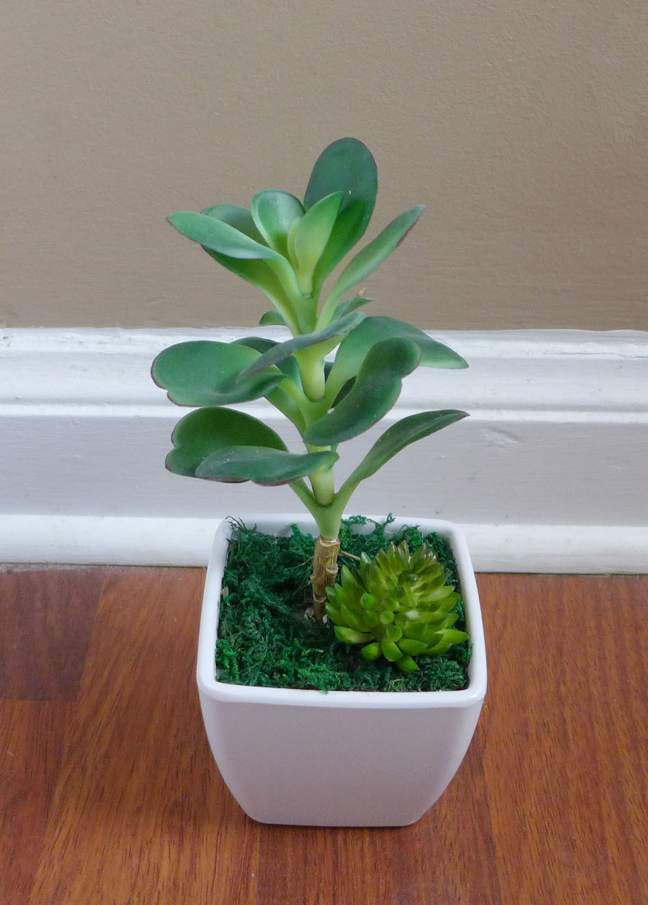 2 Mini Desert Grass Potted Artificial succulent With Pot