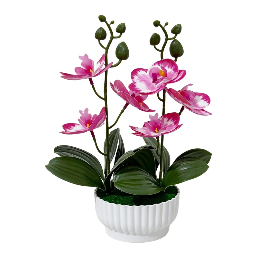 Imitation Orchid Plant with 6 Blooms 6 Leaves in Pot 26cm Indoor Decor