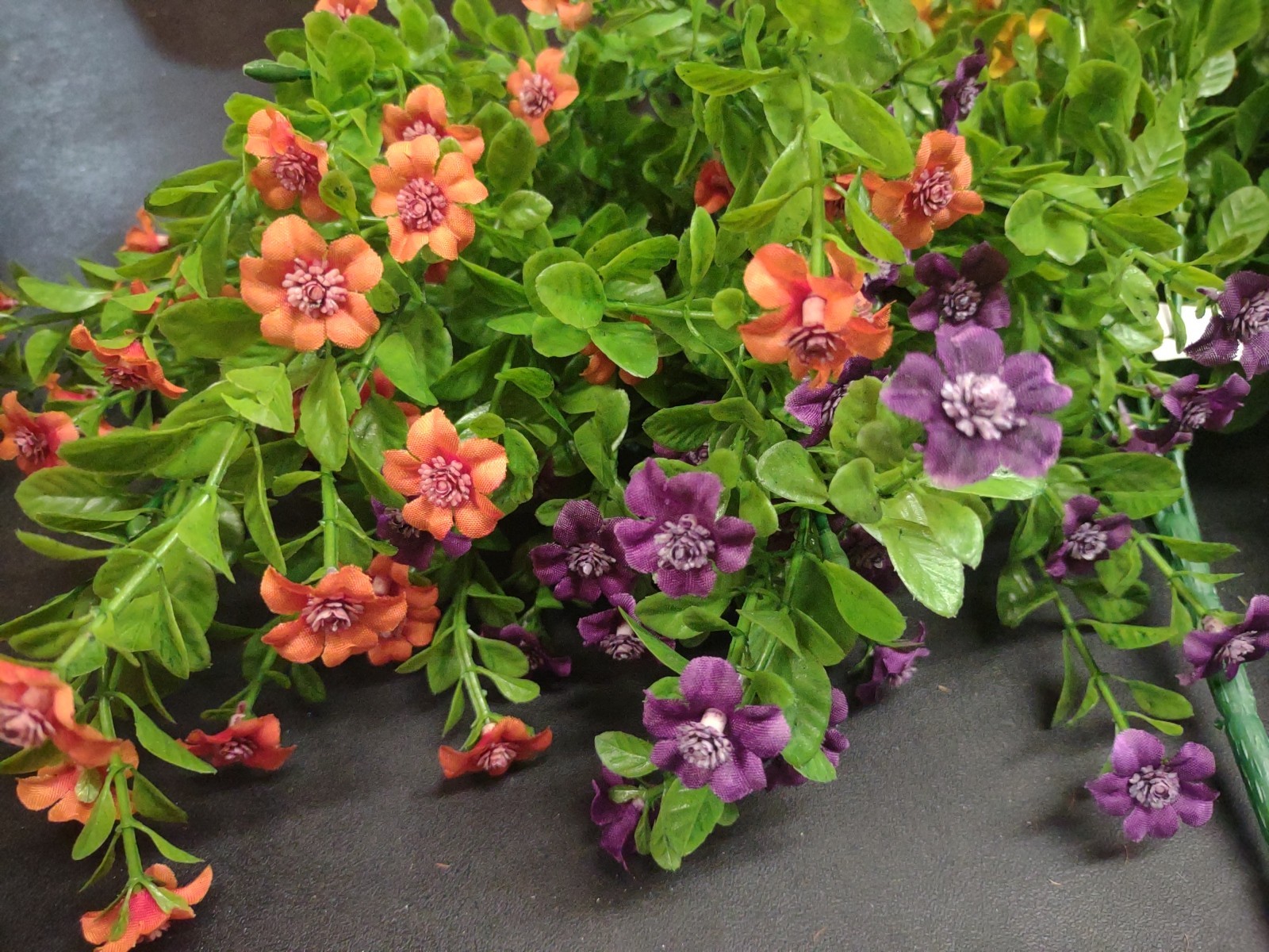 Set of 4: Silk Mini Daisy Bush, “Jacob’s Ladder” Orange, White, Purple, & Gold