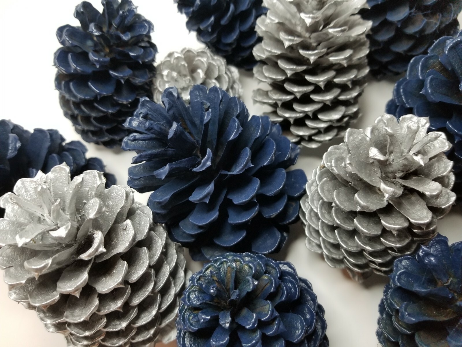 🎅15 Royal Blue & Silver Pine Cones Hand Painted Natural Premium Ponderosa Cones