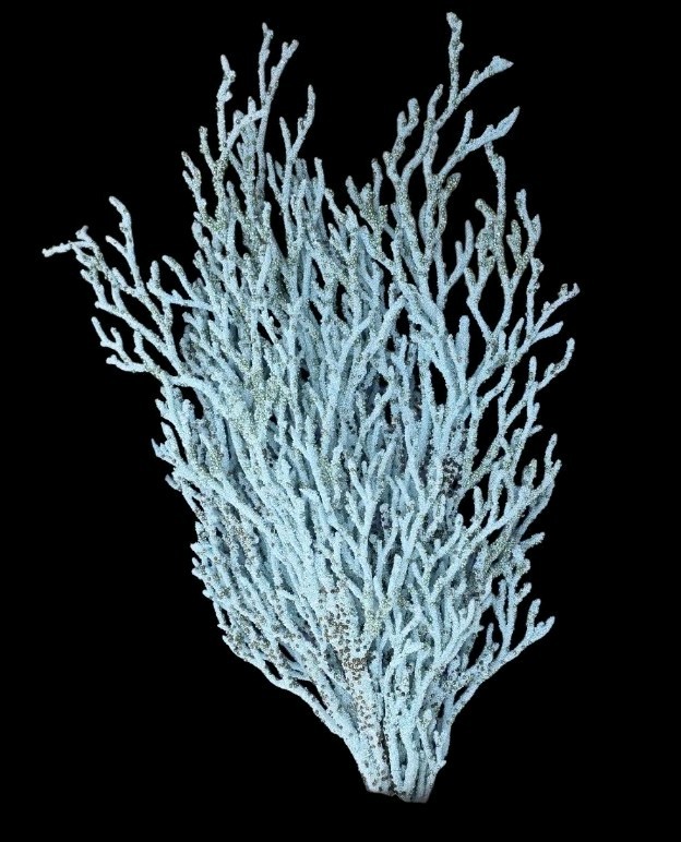 Lot Of 4 Glittered Beaded Twig Branch Spray Blue Coral Nautical Teal Florals