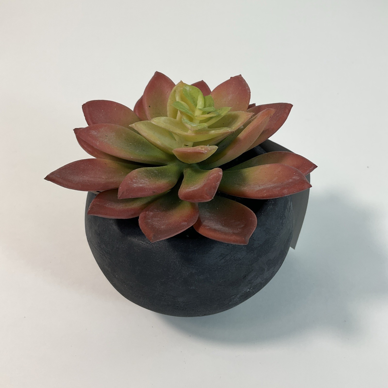 Artificial Succulent Plant in a Black Pot 4” Table Decoration