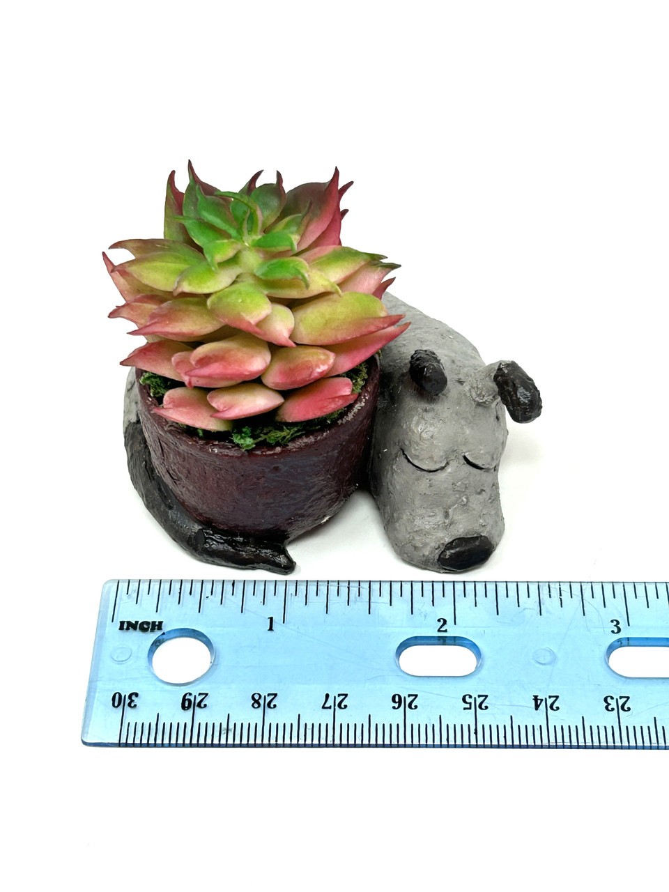 2.5″ Potted Baby SLEEPING DOG Blob House Mini pot WITH faux Red-Green Succulent