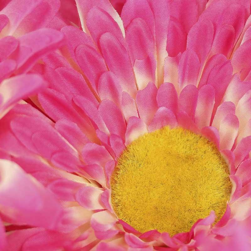 Bright Large Fuchsia Artificial Daisy Heads