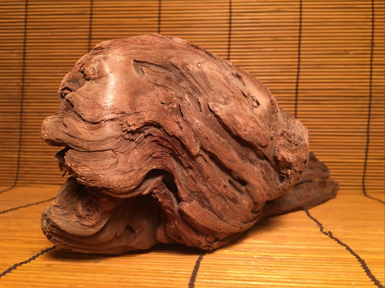 Beautiful 12” DRIFTWOOD Piece Terrarium Aquascape Floral Decor Crafts Art