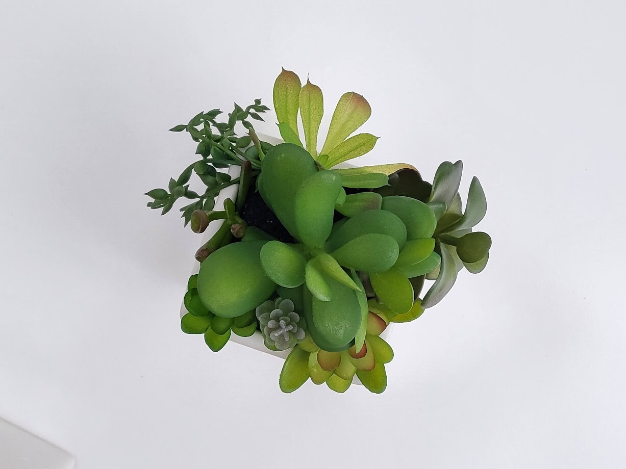 2-Pack Cactus Artificial Succulent Fake Plants Ceramic White Planter Pot 4x4x7