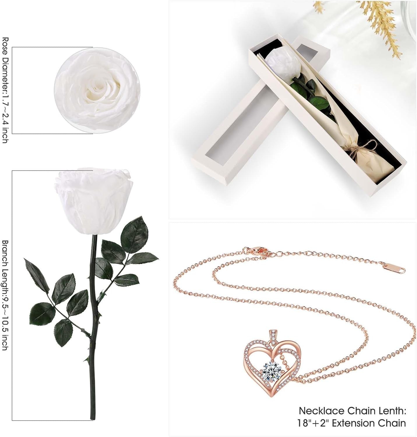 Real Preserved Rose with Sterling Silver Necklace – Ideal Birthday Gift for Her