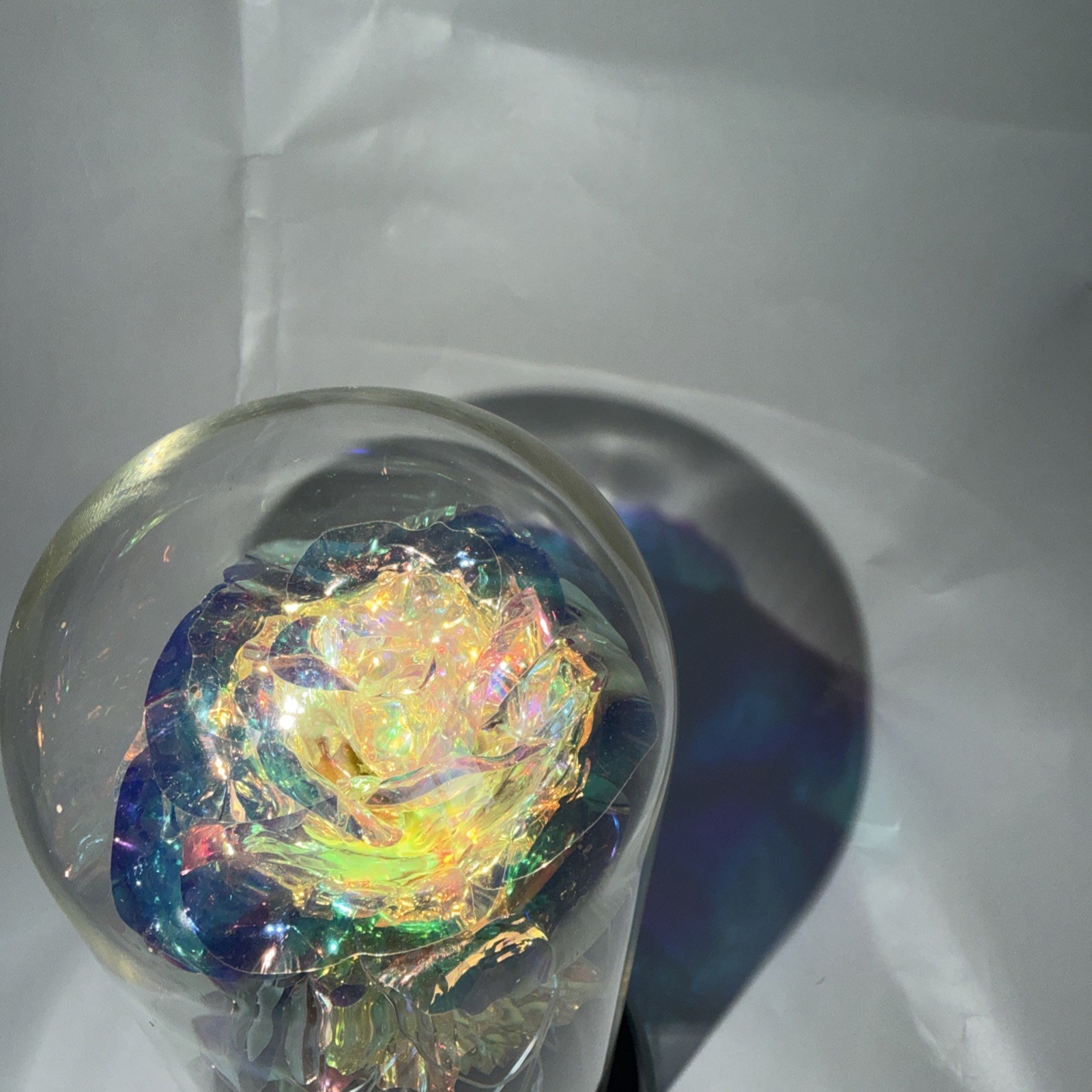 Iridescent Color Changing Flower In Glass Dome