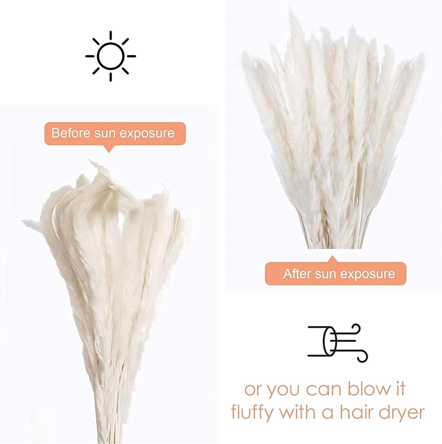 Versatile Pampas Grass Decor with LED Lights & Glass Vase for Stunning Homes