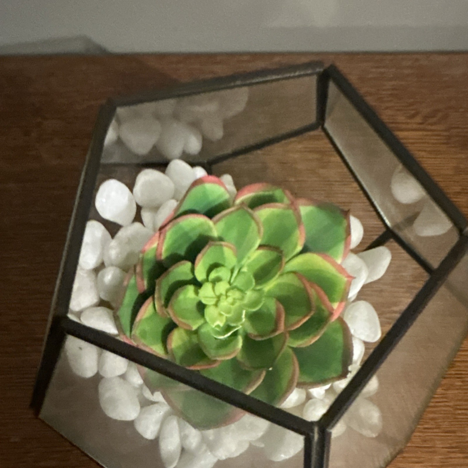 Geometric Glass Terrarium, Artificial Succulent and White Stone centerpiece