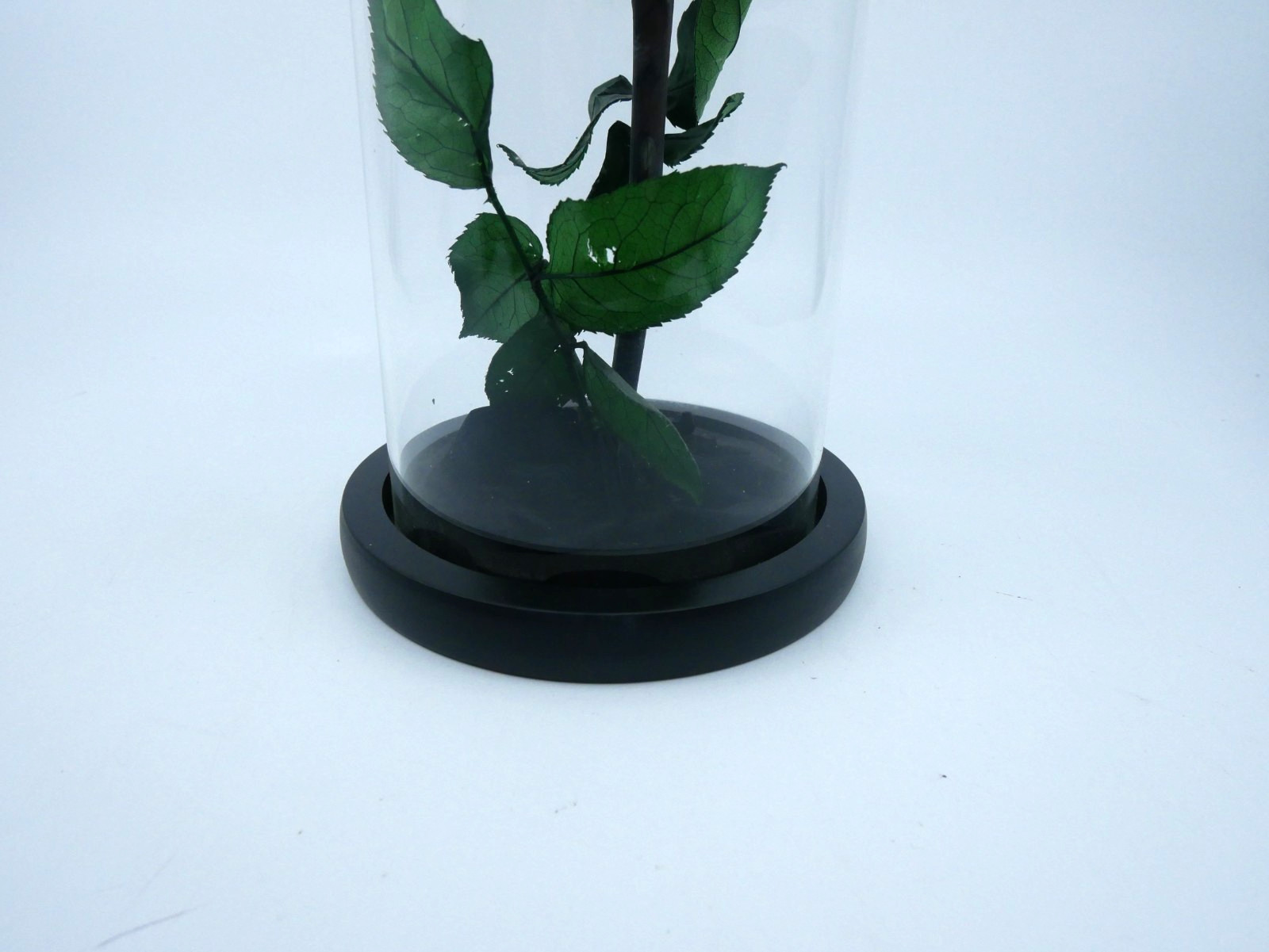 Perfectione Roses Black Rose Preserved Flowers