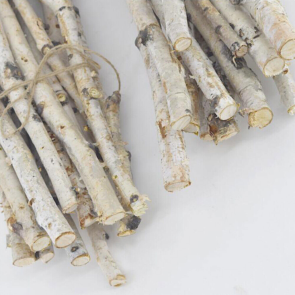 1PC Natural Dried Tree Branch Birch Stick Flower Home Garden Party Floral Decor