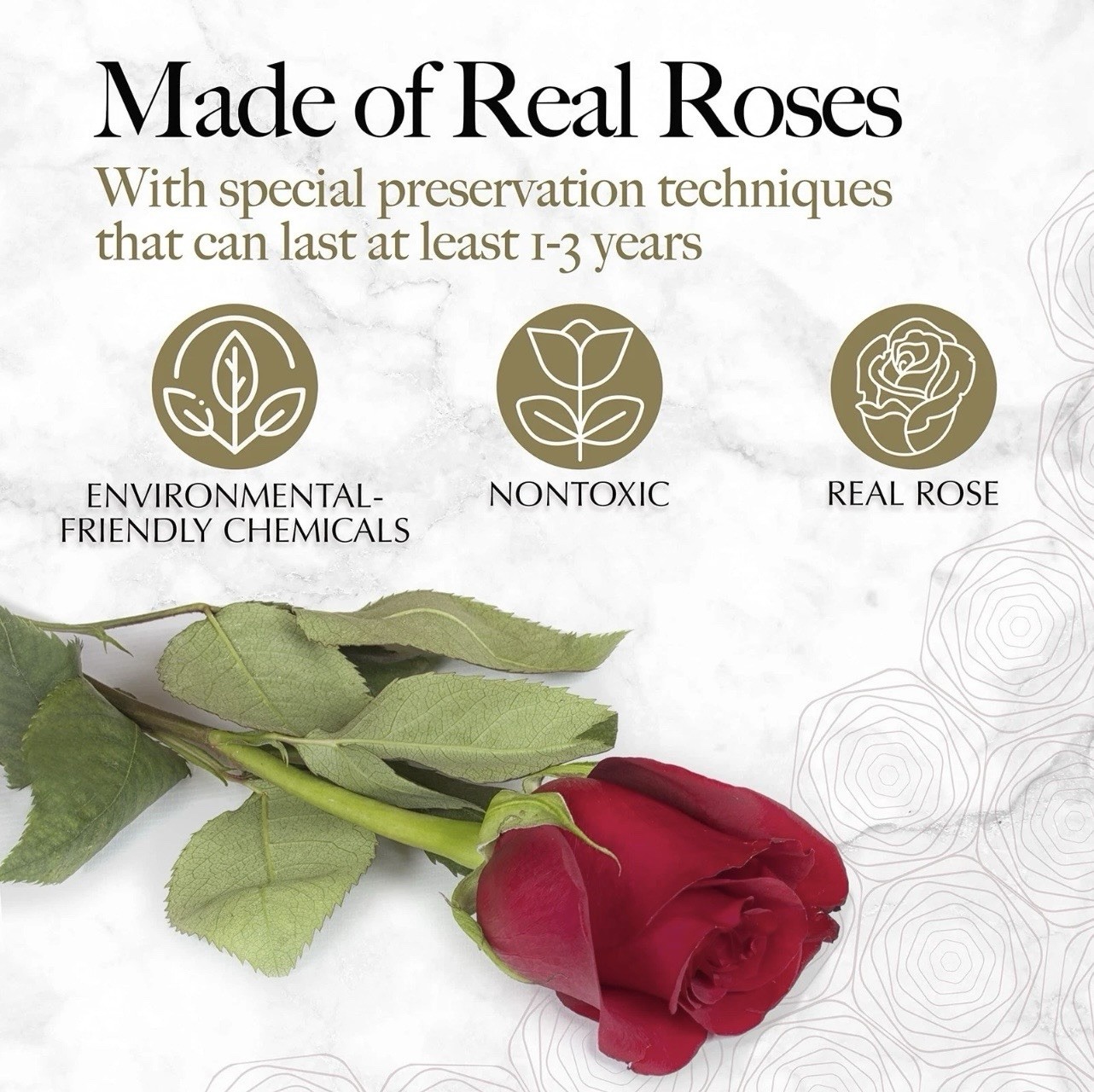 GLAMOUR BOUTIQUE 16 Forever Flower Heart Shape Box – Preserved Roses, Immortal R