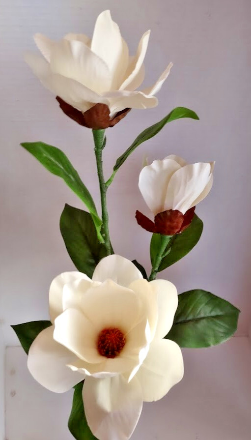 Magnolia stem bush CREAM