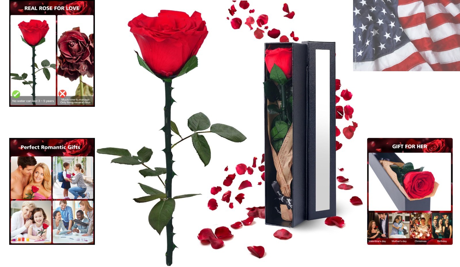 Preserved Flowers Gifts for Women: Valentines Day Mothers Day Birthday Christ…