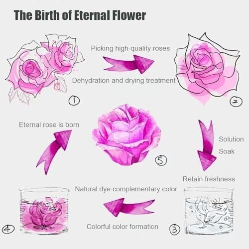 Rose Flower In Glass Gifts For Women Wife Her Valentine Girlfriend Birthday Gift